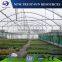 Low cost multi-span PVC/PE agricultural greenhouse for cucumber/tomato/lettuce/eggplant growing
