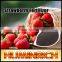 Huminrich Shenyang Humate 65%Humic Acid Kinds Of Foliar Fertilizer
