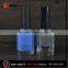 new style 5ml nail gel polish bottle color painted fancy nail polish gel lacquer bottle with black lid