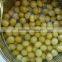 We are supply canned vegetables ,Canned fresh green peas for sale
