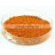 Natural OPC 95% Low price Pine bark extract