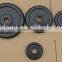 Black painted cast iron weight plate DY-WP-011