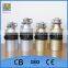 Stainless Steel Continuous Feeding Auto-Reverse Grind System Food Waste Disposal With CE CB Certification