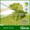 organic matcha powder with free samples