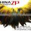 CHINAZP Party Decoration Chicken Plumage Wholesale Cheap Yellow Half Bronze Rooster Schlappen Feathers Strung