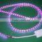 100m/roll 5050 Led Strip Light 220-240v