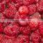 CHINA frozen mixed berries