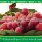 Supply delicious sweet fresh red globe grape red globe grape from China