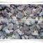 famous brand in china /popular food/ china frozen food mushroom