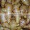 2014 new Air dry Fresh Ginger