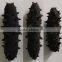 HOT!!! 100% Natural organic dried prickly sea cucumber