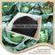 Efficient Better Price 100% Natural Green organic potash fertilizer