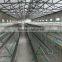 Promotional Price Automatic Chicken Layer Cage for Poultry Farm