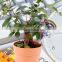 iLOT Hand-blown Plant Watering Bulbs Glass Aqua Globes