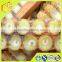 wholesale the soft gold of fresh royal jelly for him