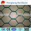 Welcomed Galvanized Chicken Wire Mesh/Hexagonal wire mesh (THE REAL FACTORY)