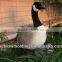 hunting goose for sale,goose decoys molds