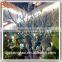 Customized Tree Trunk Wedding Tree Pole