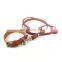 Customized handmade leather dog collar and leashes