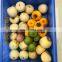 DRB-XP3 Professional Persimmon Peeler with Factory Price,Small Round Fruit Peeling Machine