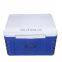 Blow molding GINT 40 liter PU foam cooler box with lock