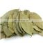 Dried Graviola Leaves /Natural Remedy/Organic Herbal Dried Soursop Leaf For Tea  from Vietnam