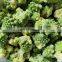 Sinocharm 2022 New Season BRC A Approved IQF Frozen Romanesco