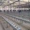 Greenhouse Tomato Planting Trough