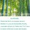Round Birch Shish Grilling Kebab Natural Barbecue bbq Bamboo Sticks Rods for Lollies