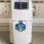 Professional Factory Fast Cooling And Heating 10000 BTU Portable Air Conditioning