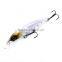 Wholesale Floating 13.6g 100mm Hard Fishing Jerk Bait