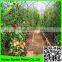 Supply 2016 100% virgin LDPE 200 micron greenhouse poly film greenhouse cover film for tomato