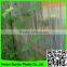Strong Durable Trellis Netting Pea & Bean Support Net Hand Tools Garden Plant Climb