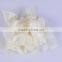 2015 Cheap Cut Type Transparent Latex Finger Cots Powder Free Cleanroom Finger Cots