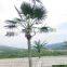 wholesale decorative led coconut palm tree light