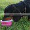 Colorful and Food Safe Silicone Bowl Dog Feeder Dog Bowls
