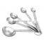 5 Pcs Set Stainless Steel Measuring Spoon