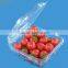high grade disposable clear plastic fruit box