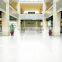 Foshan Parquet Blanc Ceramique