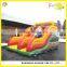 Inflatable Bouncer Slide: Dry Bouncy Slide and Wet Water Slide
