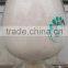 Agrochemical Dimethomorph 95%TC,dimethomorph 50%WDG,Dimethomoph 50%WP CAS No.: 110488-70-5 Fungicide