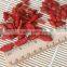 Organic Goji Berries