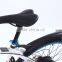High quality 250W mountain bike electric with 36V 10.4Ah lithium battery