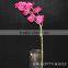 New Design Real Touch Artificial Single Flower