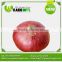 Widely Used Fresh Round Onion