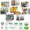 Best selling Roasted Peeled Chestnuts Snacks, ready to eaty healthy snacks food