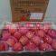 2014 China Hot Sale Fresh Fuji Apple