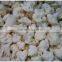 IQF Frozen Cauliflower