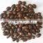 Wholesale Chocolate Coated Raisin
