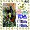 Organic Extra Virgin Olive Oil, High Quality Tunisian Olive Oil, Pure olive oil, 100% Organic Extra Virgin Olive Oil 1L.
